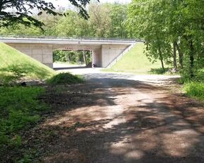 Hard Titslapping under trainbridge